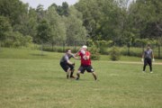 OTFL Gallery Image